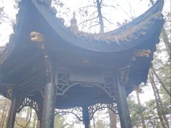 -四明山国家森林公园