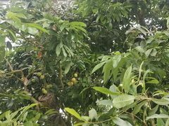 -南通洲际绿博园