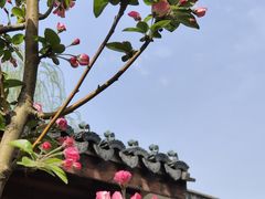 -水西公园