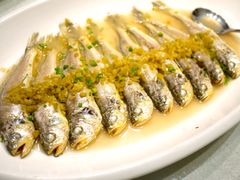 东海小黄鱼-骏莱海鲜鱼港(五角场店)