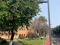 -四川大学(望江校区)