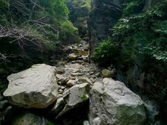 -少华山国家森林公园