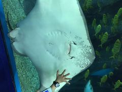 iphone_upload_pic-福州罗源湾海洋世界旅游区