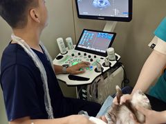 -立德异宠动物医院.兔鸟爬.内窥镜(天河店)