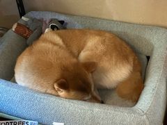 -About Bistro關於·泰式家庭料理