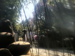 -观唐（国际）度假村温泉