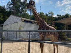 -泉州海丝野生动物世界