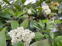 -玄武湖景区-情侣园游乐场