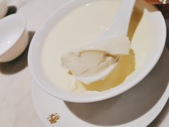 老香港鲜奶冻-香港百合居(LCM置汇旭辉广场店)