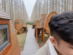 -黄海国家森林公园