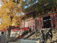 -宝通禅寺