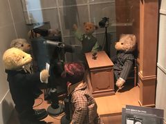 -济州岛泰迪熊博物馆