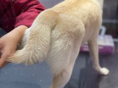 -FAELING PETS美天灵宠物(富力广场店)