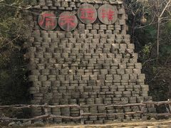 -千年银杏谷文化旅游区
