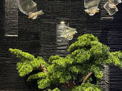 -上足·影院足道·SPA(红岭店)