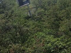 -富斯特索道