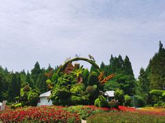 -东平国家森林公园