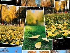 -重庆市江北嘴中央商务区中央公园