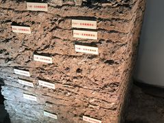 -南越王博物院(王宫展区)