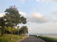 -深圳湾公园(南山区)
