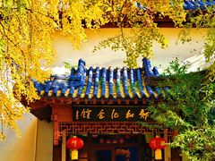 -郑和公园