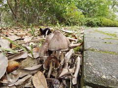 -长广溪湿地公园