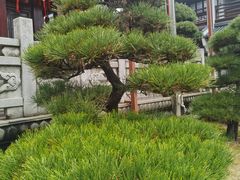 -香积寺