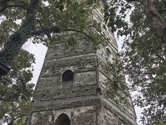 -江心屿景区