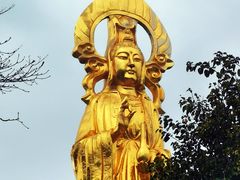 -广州莲花山旅游区