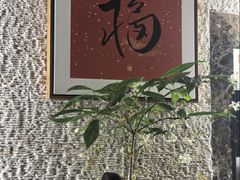 -九华山聚龙大酒店