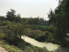 -永定河休闲森林公园