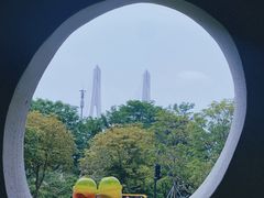 -海珠儿童公园