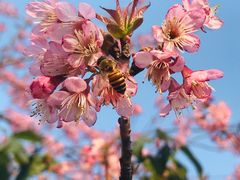 -华南国家植物园-售票处
