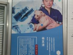 -爱侣宠医·鹦鹉专科·小型哺乳类·异宠专科(灵石路店)