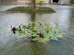 -三亚太阳湾柏悦酒店