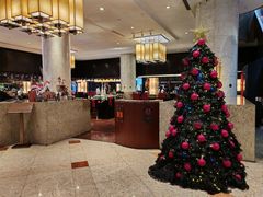 -上海锦江汤臣洲际大酒店壹阶层