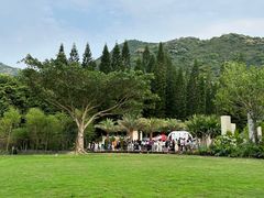 -深圳仙湖植物园