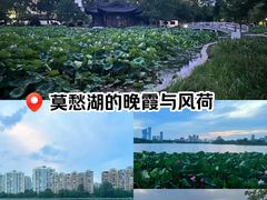-莫愁湖公园