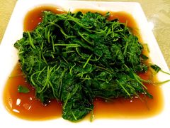 兴圆苑-兴圆苑