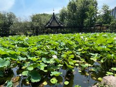 -上海醉白池公园