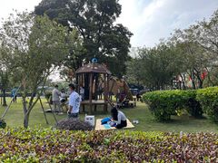 -大湾区中央湿地公园