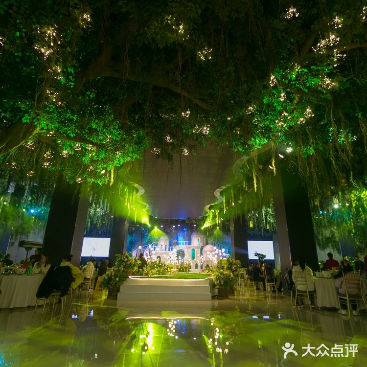 清晨的光落在娇嫩的花瓣上