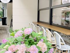 -Peet's Coffee皮爷咖啡(大学路店)