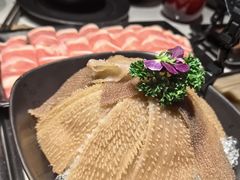 -鼎膳常火锅(华阳店)