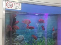 -雅悦齿科(顾村公园店)