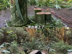 -广州长隆野生动物世界