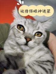 -港美国际