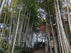 -杭州黄龙洞