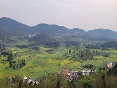-牛街螺丝田