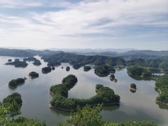 -宝荣鱼馆·临湖之宴(千岛湖店)